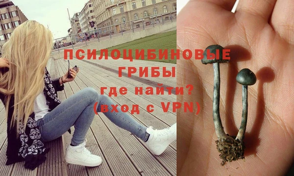 мескалин Богородск