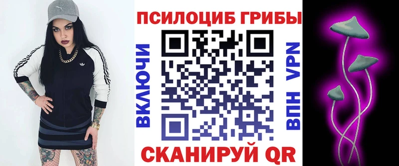 Купить  Малмыж  Псилоцибиновые грибы MAGIC MUSHROOMS 